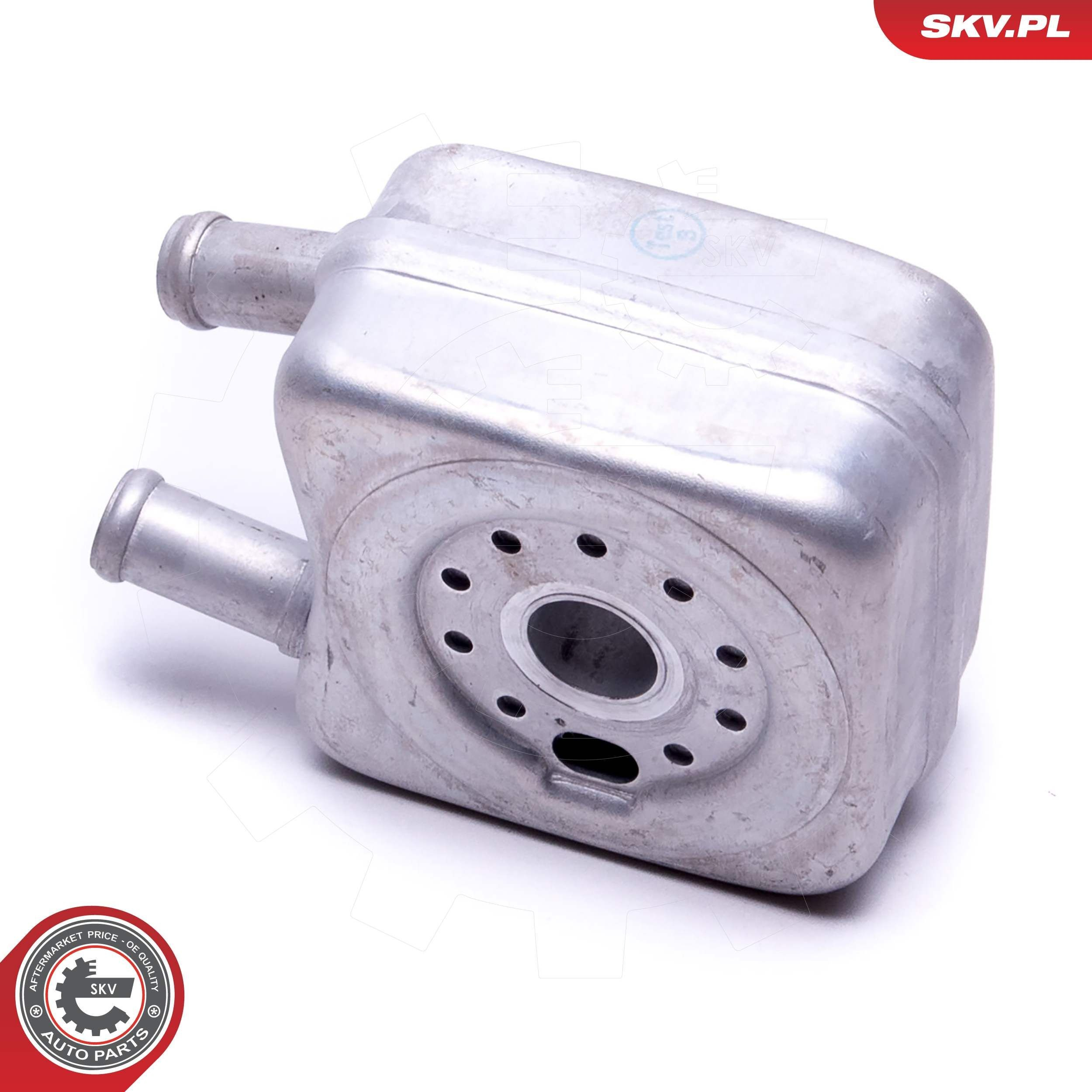 31SKV202 SKV
